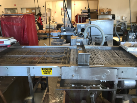 Florida - Krismpy Kreme