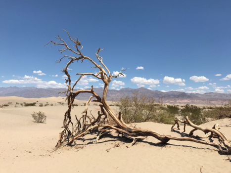 Death Valley National Park - Death valley met 49 graden