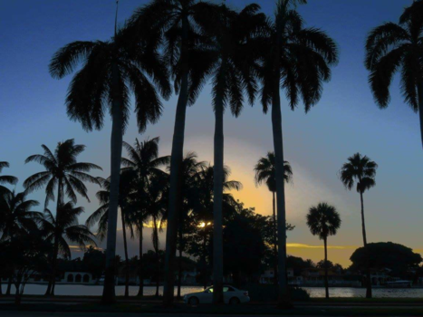 Miami - Honeymoon Miami aug 2017