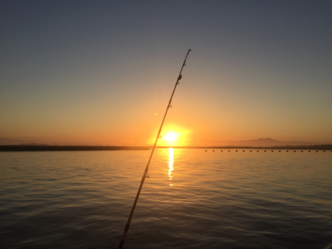 Los Angeles - California Dreaming