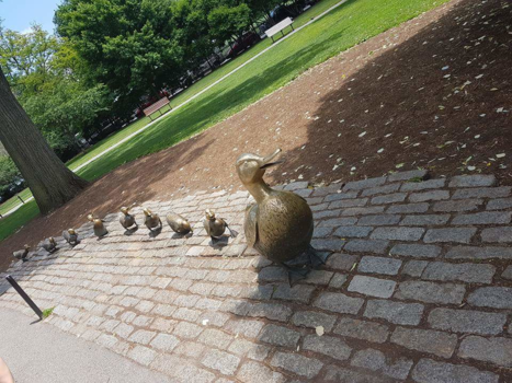 Chicago - The Ducklings (Boston)