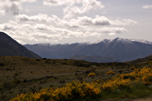Hawaii - View from Trans alpine express