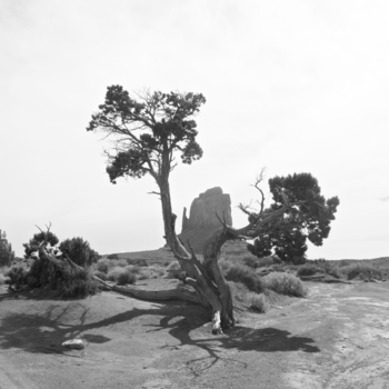 Utah - The Beauty of Silence Monument Valley