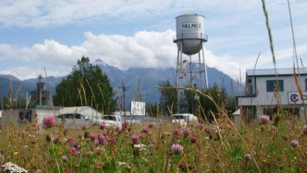Rondreis Alaska - Palmer