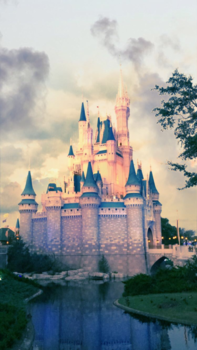 Florida - Dream castle