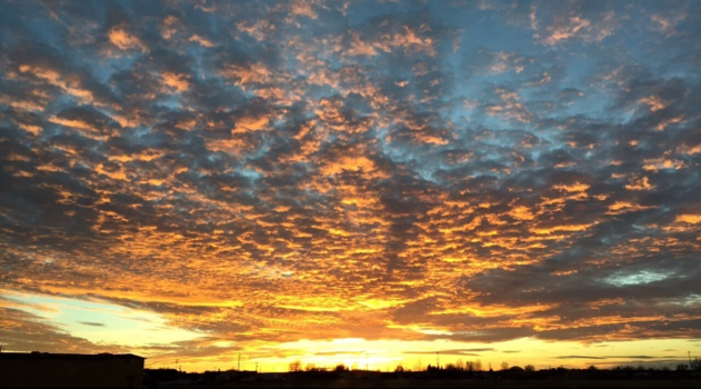 Phoenix - Sunset during our road trip through Phoenix