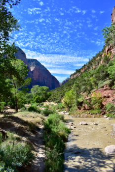 Zion National Park - Genieten in Zion National Park, Utah