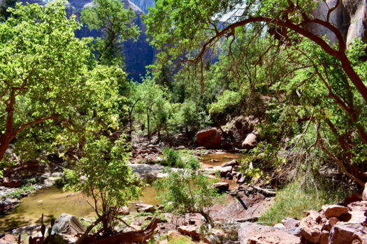 Zion National Park - Uitzicht op de vallei