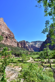 Zion National Park - Uitzicht vanaf een van de wandelpaden