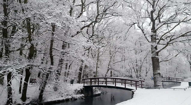 Utah - Winter in the lovely Hague- The Netherlands