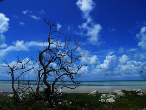 Florida Keys - Bahia honda beach