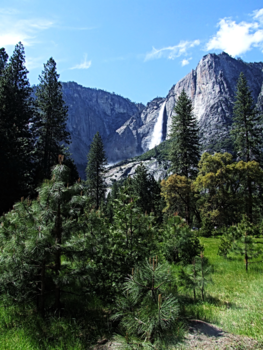 Yosemite National Park - Spring @ Yosemite