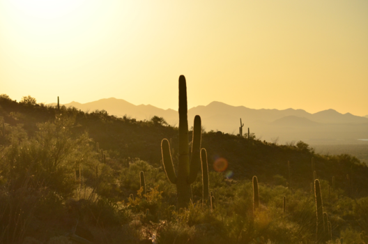 Utah - Dessert sunset