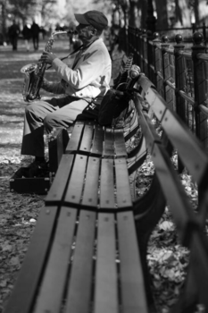 New York - Music and inspiration in Central Park