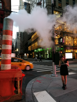 New York - Concrete jungle where dreams are made of