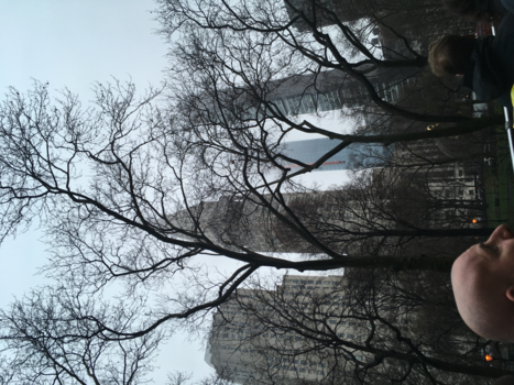 New York - central Park