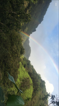 Hawaii - Aloha Rainbow