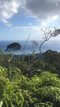 Hawaii - Uitzicht hike