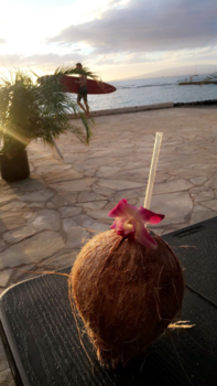 Hawaii - Barefoot cafe