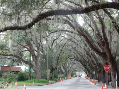 Florida - The scary road