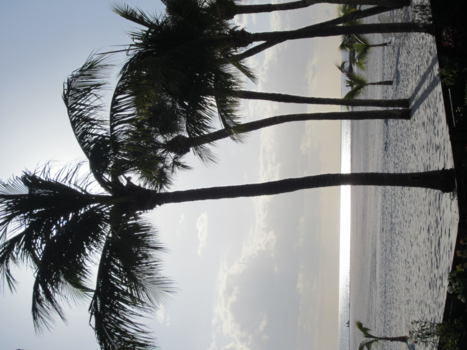Florida - Strand Fort Meyers Florida