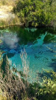 California - Ash Meadows, Death Valley