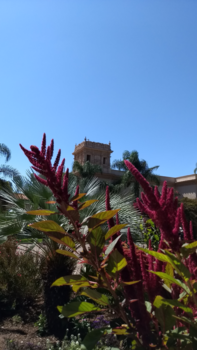 California - Balboa Park, San Diego