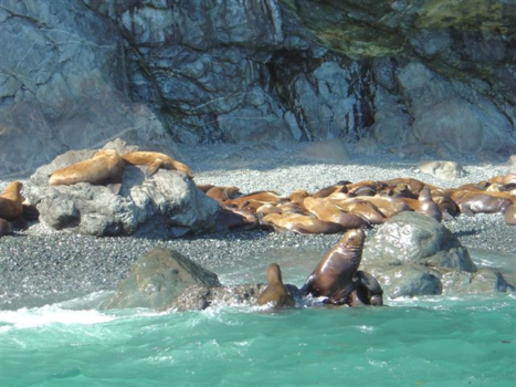 Rondreis Alaska - Alaska 2004