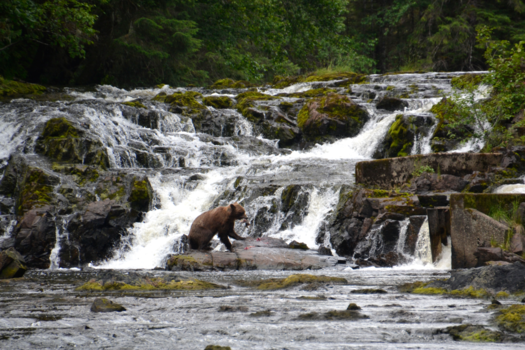 Alaska - Hier ga je voor naar Alaska!