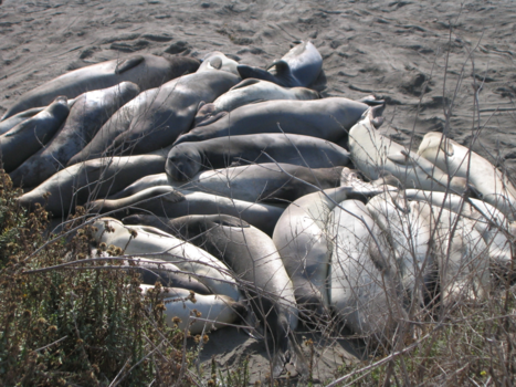 California - Are you talking to me?