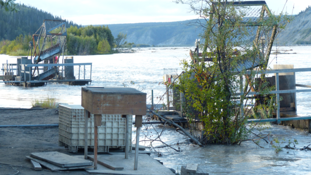 Rondreis Alaska - salmontrap