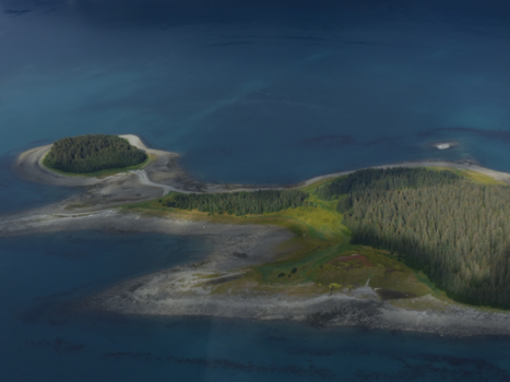 Rondreis Alaska - flying from Haines to Gustavus