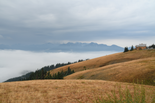 Olympic National Park - On top of the mountain