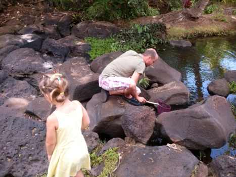 Kauai - Plezier voor iedereen