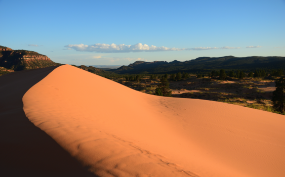 Utah - Sunset @ Coral Pink Sand Dunes