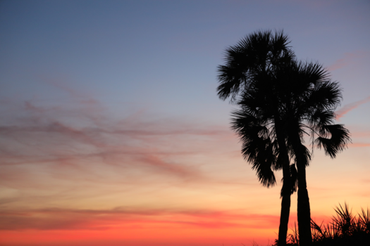 Florida - Clearwater Beach
