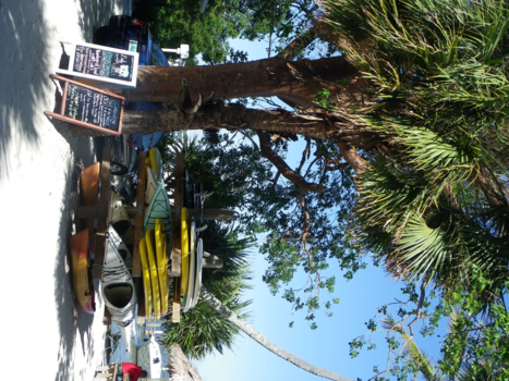 Florida - Ontspanning in Florida