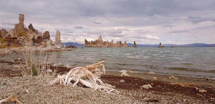 California - Lee Vining