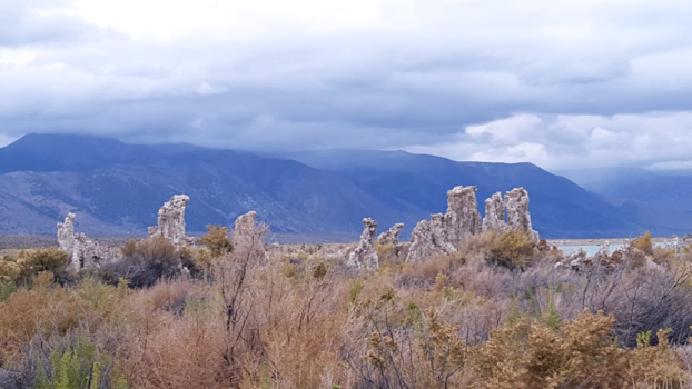 California - Lee Vining