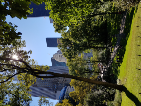 New York - Fall in New York