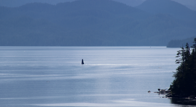 Alaska - A point of view