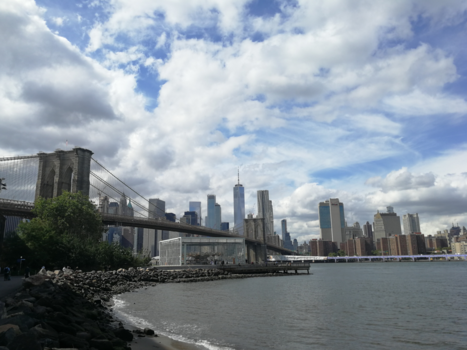 New York - Skyline Manhattan en de Brooklyn Bridge.