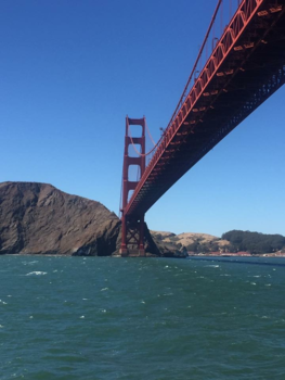 San Francisco - Downunder Golden gate ridge