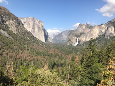 Yosemite National Park - Most beautiful view of the world!