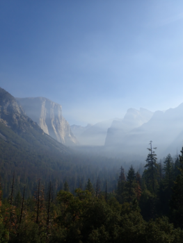 Yosemite National Park - yosemite valley