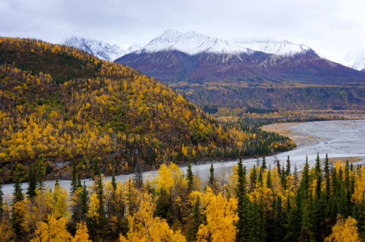 Alaska - Alaska - even buiten Anchorage