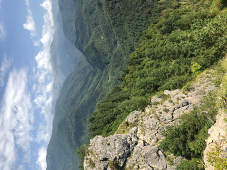 Georgia - Lovely Hills Georgia