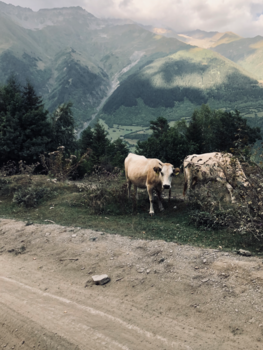 Georgia - 2.000m high viewpoint