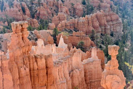 Bryce Canyon National Park - Enchanted Rocks