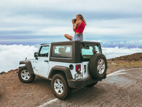 Hawaii - Chick with a vieuw